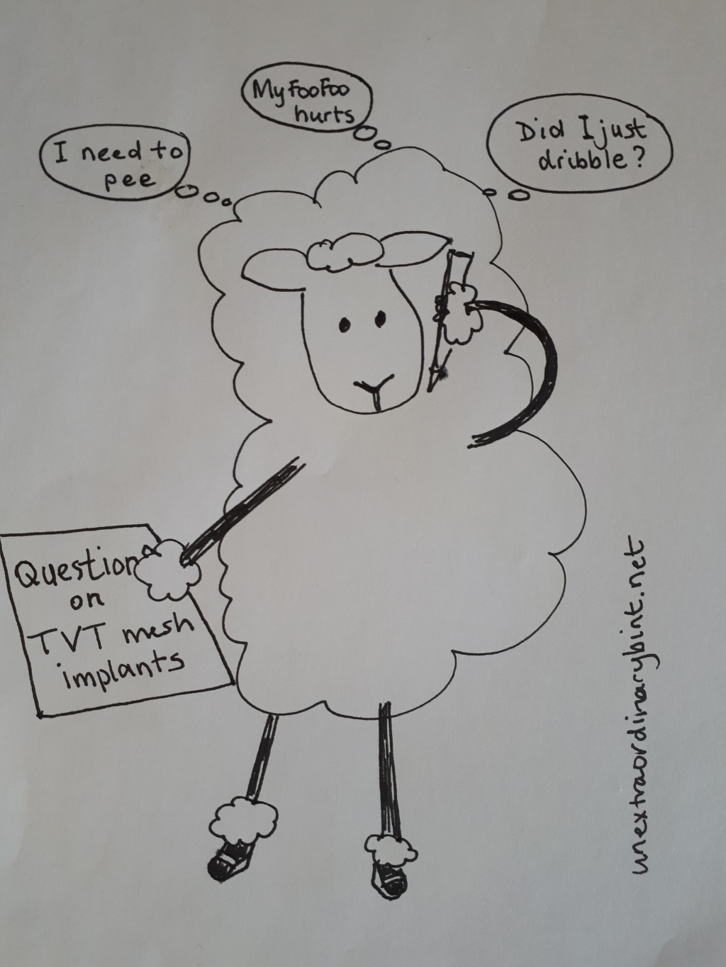 The Problem with Shagging Sheep.